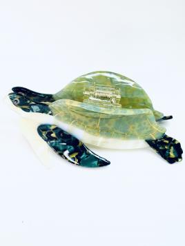 PIN.ACETAT.TORTUGA
