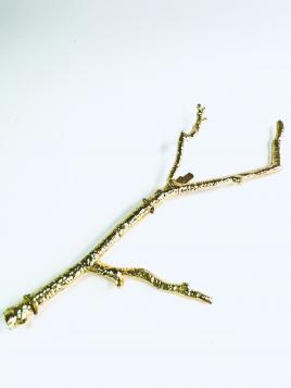 CP.BRANCA